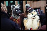  canine cute dog fursuit hat male mammal real unknown_artist wolf 