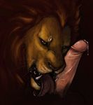  bestiality cum danger disembodied_penis erection fangs feline fellatio feral first_person_view frrit gay human human_on_feral humanoid_penis interspecies licking lion looking_at_viewer male mammal oral oral_sex penis sex teasing tongue trust trusting wild 