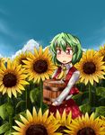  :o ascot blue_sky bucket bucket_of_water cloud day flower green_hair kanosawa kazami_yuuka mima plaid plaid_skirt plaid_vest red_eyes skirt skirt_set sky solo sunflower touhou touhou_(pc-98) vest water when_you_see_it 