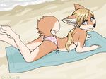  2008 beach bikini black_nose blonde_hair blue_eyes canine coonkun cub curled_tail female fox hair long_hair looking_at_viewer on_front outside ponytail seaside side-tie_bikini side-tie_panties skimpy solo tail young 