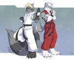  anthro biceps big_muscles blonde_hair blue_eyes canine claws clothing cosplay cyber_zai dog duo fur hair husky karate ken male mammal milligram_smile muscles raccoon ryu spunkyrakune street_fighter video_games white_hair 