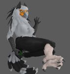  anthro avian bird bleuhawke breasts dildo female insertion lying masturbation nipples nude on_side penetration pussy pussy_juice secretary_bird sex_toy solo vaginal vaginal_penetration 