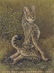  ambiguous_gender dark_natasha feline mammal nude outside serval solo 