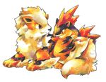  ambiguous_gender arcanine brown_eyes canine duo feral fire mammal nintendo pok&#233;mon pok&eacute;mon quilava red_eyes size_difference video_games 