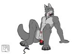  anal anal_insertion anal_masturbation anal_penetration anthro balls canine collar dildo dildo_sitting insertion licking licking_lips male mammal masturbation penetration penis penis_tip plain_background rufus sex_toy sheath solo tongue tsaiwolf wallpaper webcam white_background wolf 