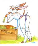  big_ears bulge butt cute feminine girly hindpaw lagomorph male market pun rabbit shorts solo squeedgemonster thighs topless underwear veggies 