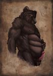  brown brown_fur darthiawolf fur male mammal penis precum solo ursine_penis 