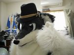  fan fox fursuit hat mammal netiel real 