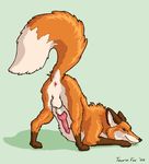  2002 all_fours anus ass_up balls canine canine_penis feral fox knot male mooning penis presenting raised_tail sheath solo tail taurin_fox 