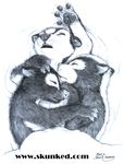  bed cub cuddle cute female james_m_hardiman lori natasha onyx skunk sleeping 
