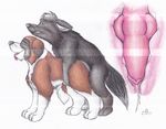  all_fours ambiguous_gender animal_genitalia canine canine_penis cum cum_inside doggy_position doggystyle duo eyes_closed female feral feral_on_feral from_behind knot male malwolf mammal pencil_(art) penis plain_background saint_bernard sex side_view tongue tongue_out white_background wolf zoophilic 