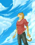  clothing feline fuck_yeah male mammal pants shirt sky sky_(artist) solo tail tiger 