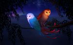  avian berries blue feathers feral geckzilla glow leaves looking_at_viewer nature owl red tree wallpaper 
