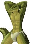  arms_behind_head bulge crocodile interior_crocodile_alligator looking_at_viewer male reptile scalie shiuk solo tail thong underwear 