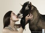  ad animal bestiality caprine female feral goat human human_on_feral interspecies kissing mammal plain_background tongue unknown_artist white_background zoo 