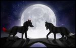  black canine cute digitigrade feral josepaw looking_at_each_other moon night stars wolf 