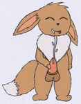  askmeaboutloom eevee pokemon tagme 