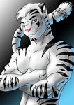  feline fur hair looking_at_viewer male mammal markings soft solo tiger unknown_artist white white_fur white_hair white_tiger 