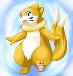  blue_eyes buizel hindpaw looking_at_viewer mitei multiple_tails nintendo open_mouth paws pok&#233;mon pok&eacute;mon solo tail video_games 