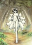 abluedeer anika blue_eyes breasts canine female fox hair kitsune looking_at_viewer multiple_tails nude pussy solo standing tail 