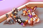  cub diaper dog fox hair husky infantilism kalida kalida_(character) mammal paws plushie plushies red_eyes short_hair skunk star toya_pup toyapup yellow_eyes young 