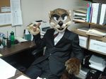  fursuit looking_at_viewer male mammal mustelid office otter real solo suit unknown_artist 