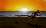  beach canine day digitigrade dog fluke german_shepherd marine nude running seaside shadow solo sunset 