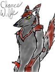  canine chance_wulfe chaoswerewolf erection male penis solo tail wolf 