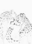  cheetah duo feline iggi mammal nude plain_background sketch white_background 