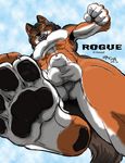  canine hindpaw ken_sample macro male nude pov rogue sheath solo stomping user_imminent_crush wolf 