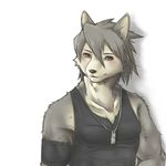  biceps blush canine clothing dog dog_tags fur grey_fur grey_hair hair husky kansouki kouya_aotsuki looking_at_viewer male mammal morenatsu muscles pecs plain_background senpuuki-chan shirt solo tank_top white_background wolf 