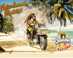  1280x1024 advertising beach bike brown crate dreadlocks feline french happy hat lion male motorcycle orangina palm_tree palms radio rastaman sand sandals seaside shorts tail tank_top 