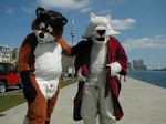  balls canine fox fursuit in_public male penis photo real robe sheath wolf 