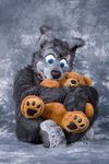  &hearts; canine cuddle cuddling cute dog fursuit looking_at_viewer mammal plushie real sitting snuggle source_request unknown_artist 
