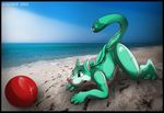  beach blue canine cat feline green_eyes inflatable male mammal nature outside rarakie seaside solo 