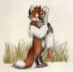  avian bird canine duck feral forbidden_love fox hug interspecies love mammal non-anthro skia 