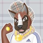  articuno_(artist) boxer canine chav dog gangster hat male solo 