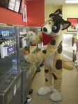  brown_eyes canine cute dog food frisbee_(character) fursuit ice_cream male mammal photo public_place real solo spots store unknown_artist visor 