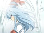  blue_hair ema20 hat kamishirasawa_keine long_hair profile red_eyes snow solo touhou winter 