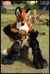  camping canine cute forest fox fursuit green_eyes guitar hair lucifur male mammal sitting solo tent tree wood 