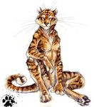  black_nose blotch breasts digitigrade feline female half-closed_eyes looking_at_viewer nipples nude orange sitting solo stripes tail tiger whiskers white_background 