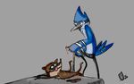  mordecai regular_show rigby tagme 