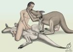  anatomically_correct animal balls bisexual docking emptyset eyes_closed female feral human interspecies kangaroo kissing male marsupial nude on_back penis pouch_penetration pouch_sex pussy sex threesome zoo 
