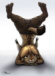  2010 feline female flexible gilbhart legs_up lynx pantyhose pussy solo spread_legs spreading topless upside_down 