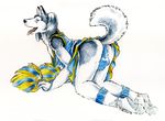  bruton canine cheerleader crossdressing dog dress heather_bruton husky male skirt solo underwear 
