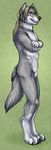  brown_hair canine greye hair korrok male nude profile solo standing tail wolf 