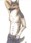  2010 abs boxers brown_eyes canine chest_tuft colored dog german_shepherd hi_res iowa male nipples pose smile solo tail topless underwear undressing whiskers white_background 