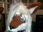  canine fox fursuit real tagme wig 