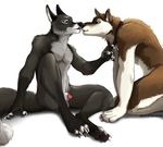  4_toes anthro balls black_fur black_nose blackteagan blue_eyes brown_fur brown_nose canine claws collar couple digitigrade dog duo eye_contact fluffy_tail fox fur gay green_eyes grey_fur husky kissing kneeling male mammal pawpads penis penis_tip plain_background sheath silver_fox sitting toe_claws white_background white_fur 