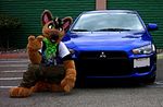  brown_eyes canine car dog doryuu fursuit german lancer mammal mitsubishi photo pose real unknown_artist 